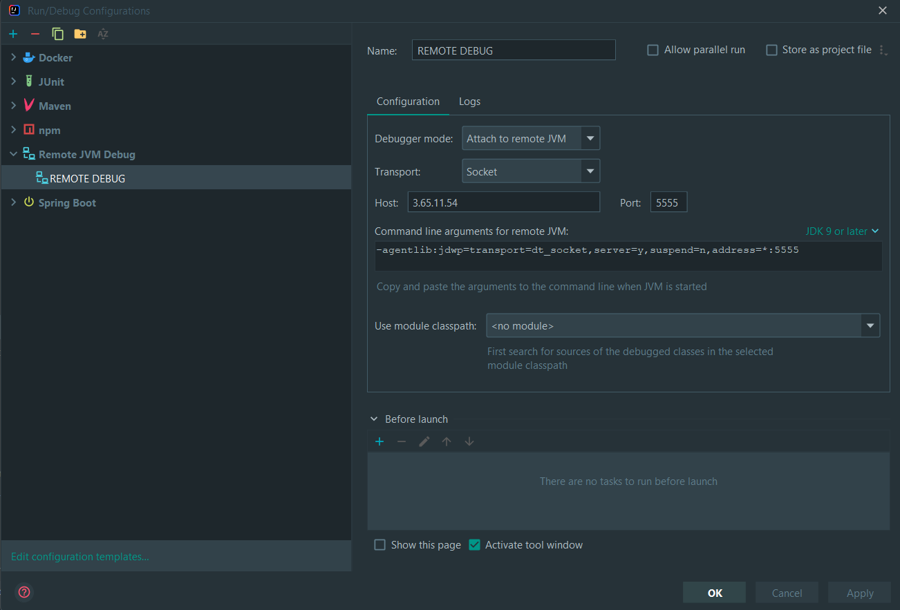 Remote Debug Config IntelliJ